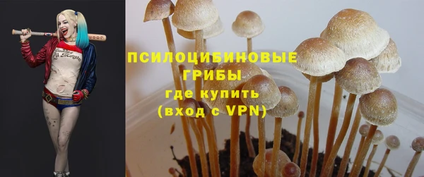 трава Кинешма