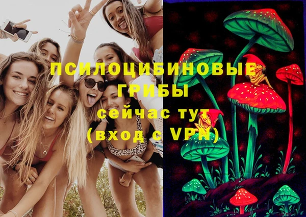 трава Кинешма